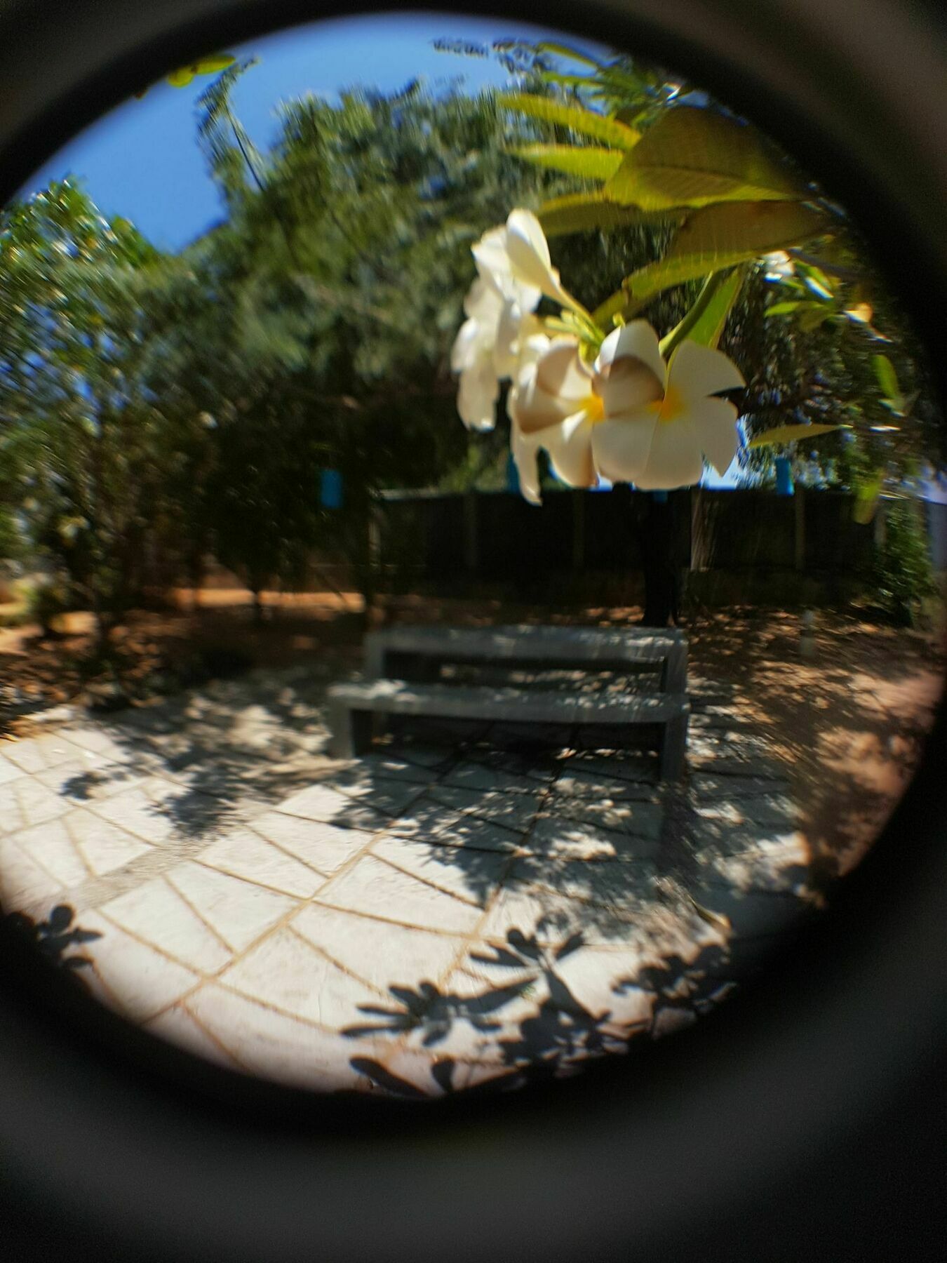 The Danish Villa Resort Arugam Bay Exterior photo